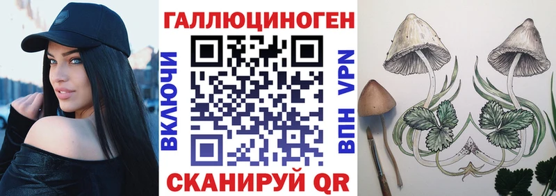 Купить закладки  Кинель  Галлюциногенные грибы Psilocybe 