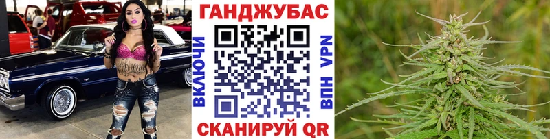 Купить  Кинель  Канабис сатива 